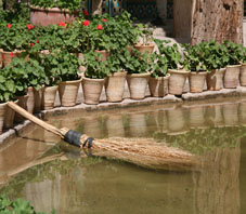 iran, kerman, bagh e shazdeh